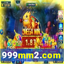 999mm2.com