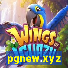 pgnew.xyz