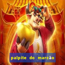 palpite do marcão jogo do bicho