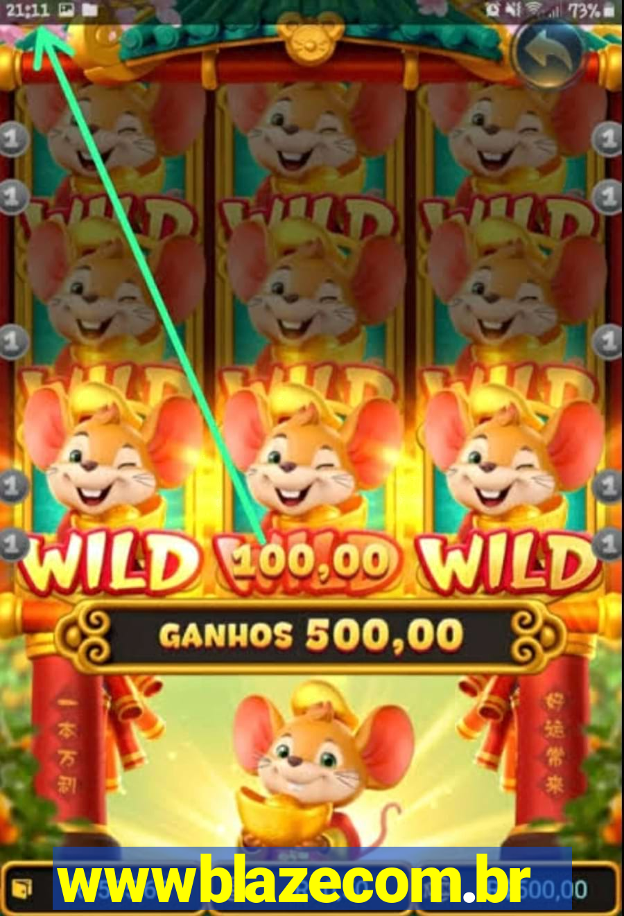 wwwblazecom.br