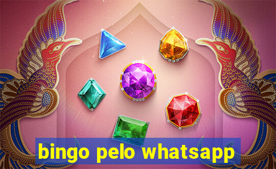 bingo pelo whatsapp