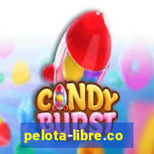 pelota-libre.com