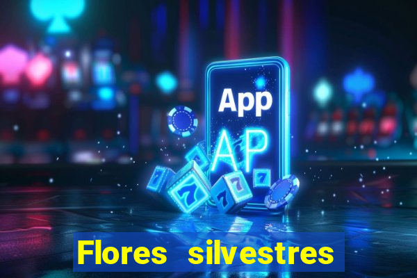 Flores silvestres brasileiras 25