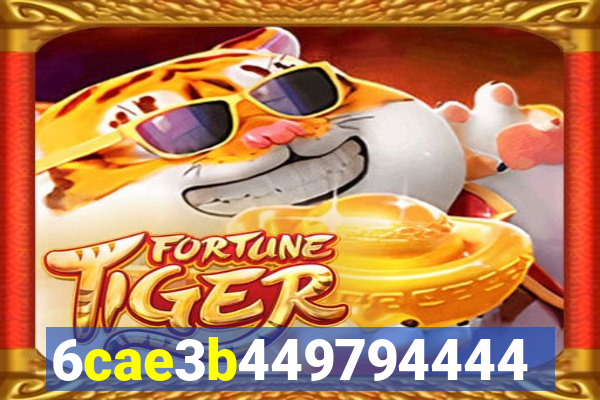 5hbet.com.br