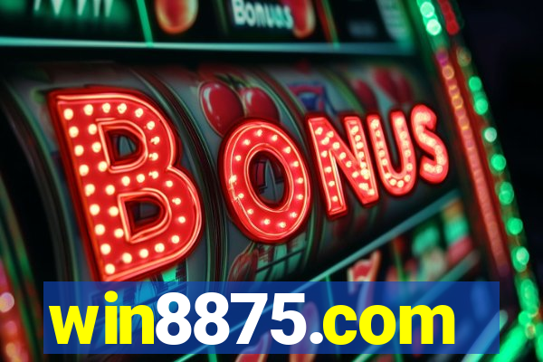 win8875.com