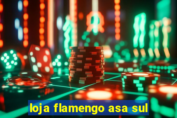 loja flamengo asa sul