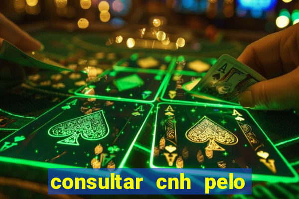 consultar cnh pelo cpf sp