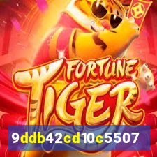 bet.505
