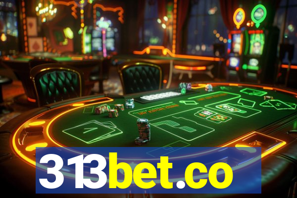 313bet.co