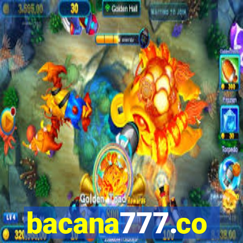 bacana777.co
