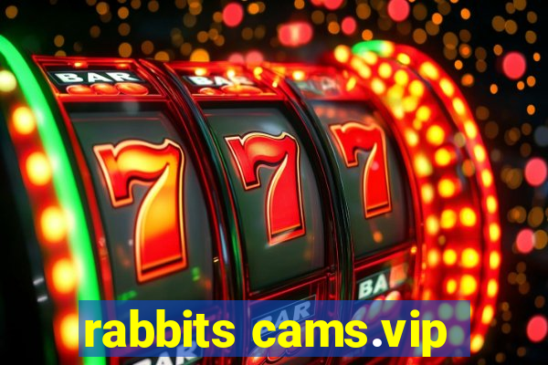 rabbits cams.vip