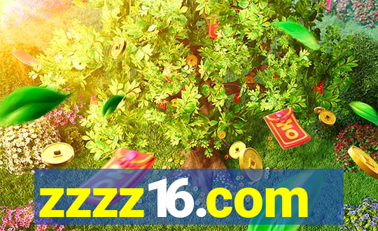 zzzz16.com