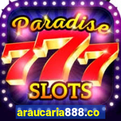 araucaria888.com