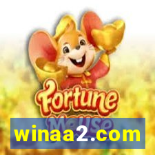 winaa2.com