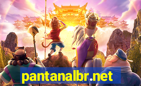 pantanalbr.net