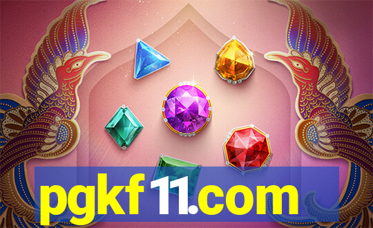 pgkf11.com