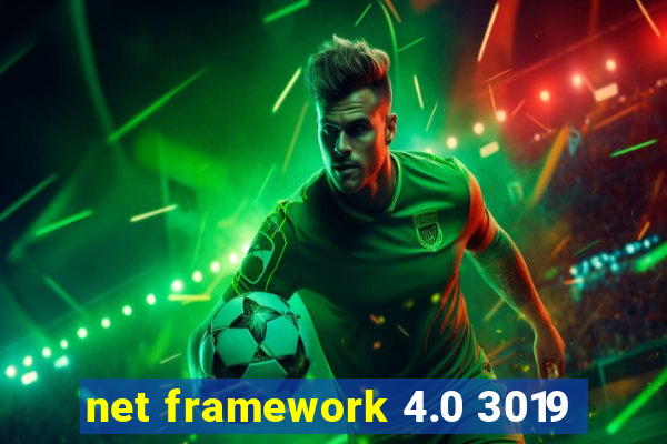 net framework 4.0 3019