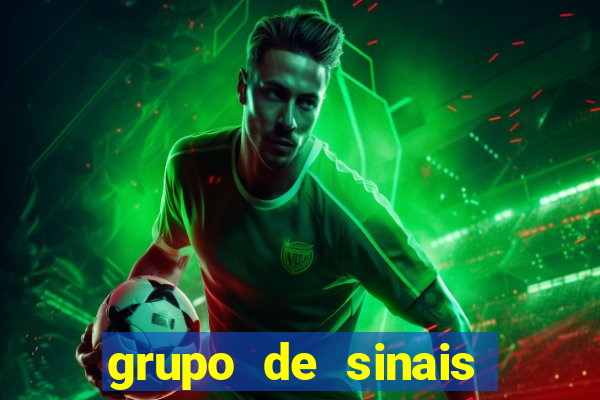 grupo de sinais fortune rabbit
