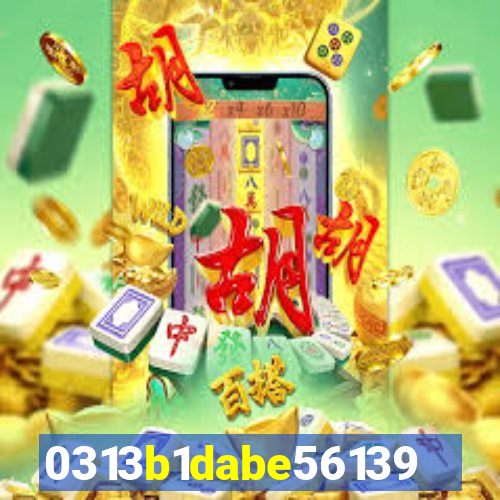 qin2023