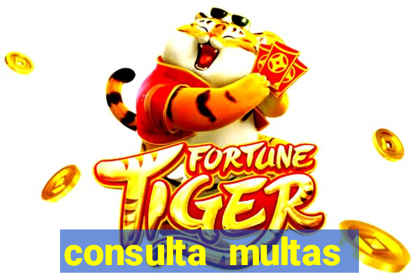 consulta multas detran mg