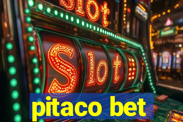 pitaco bet