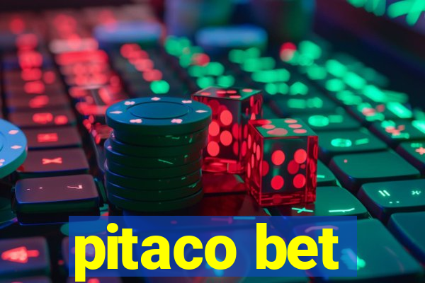 pitaco bet