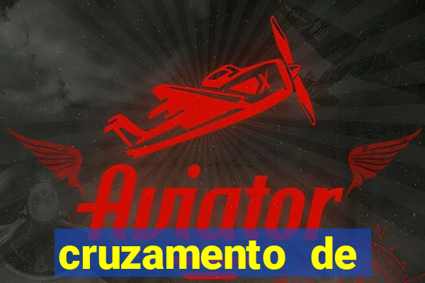 cruzamento de cavalo com mula