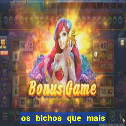 os bichos que mais saem na loteria federal