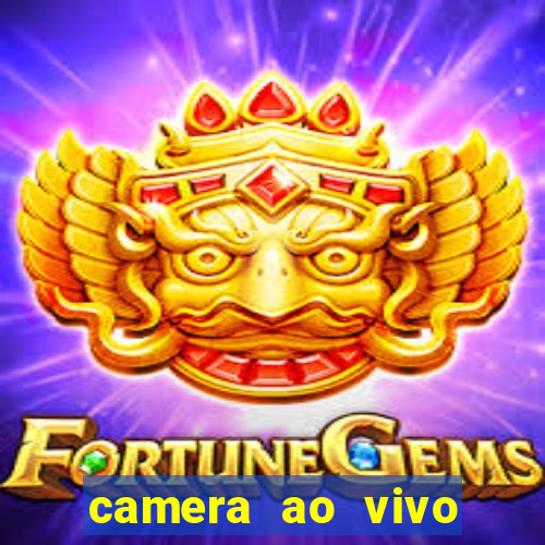 camera ao vivo beto carrero