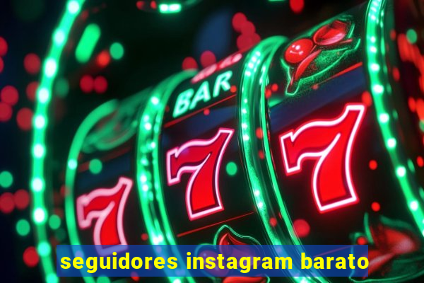 seguidores instagram barato