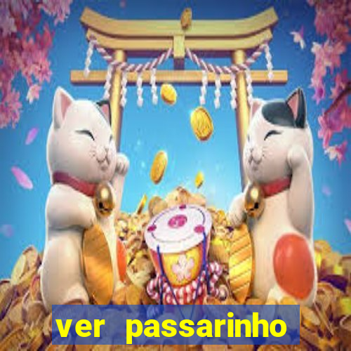 ver passarinho morto significado