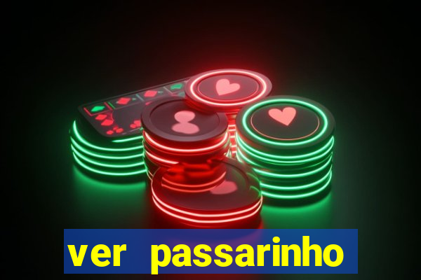 ver passarinho morto significado
