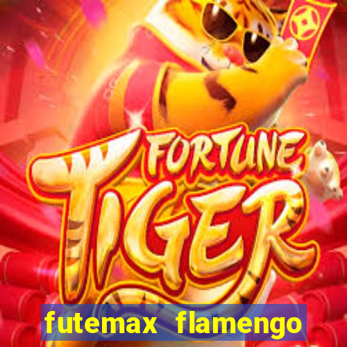 futemax flamengo atletico mg