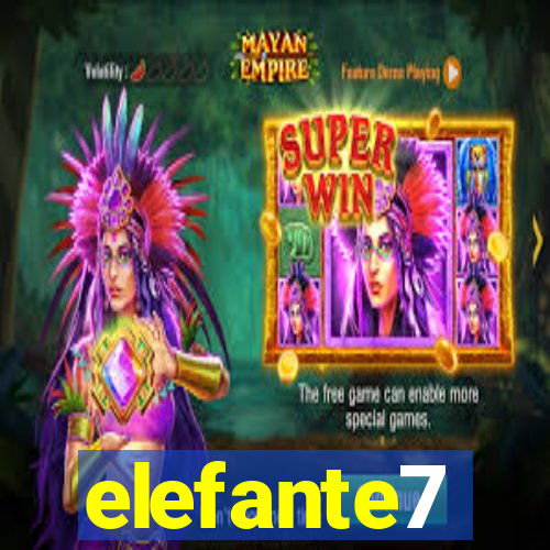 elefante7