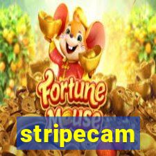 stripecam