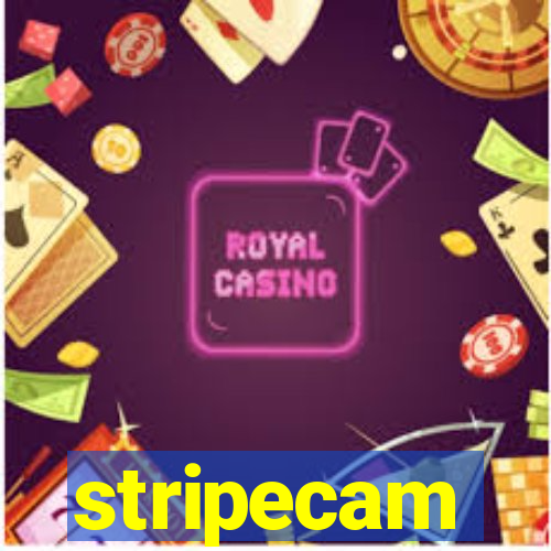 stripecam