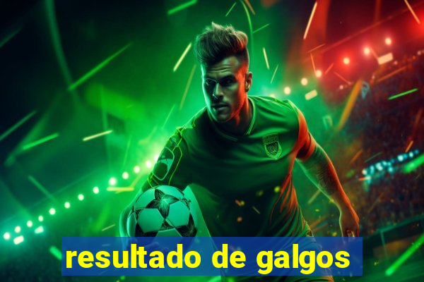 resultado de galgos