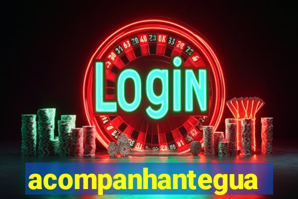 acompanhanteguanambi