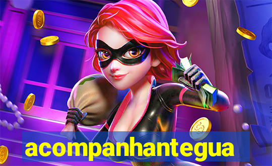 acompanhanteguanambi