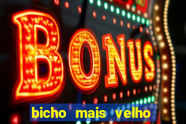 bicho mais velho da loteria dos sonhos