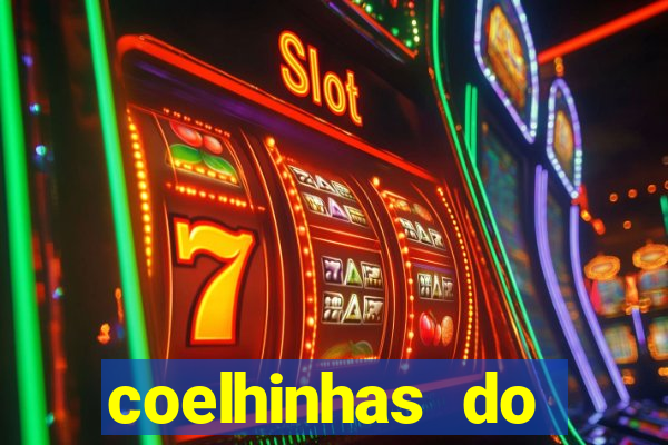 coelhinhas do brasil acompanhantes