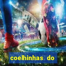 coelhinhas do brasil acompanhantes