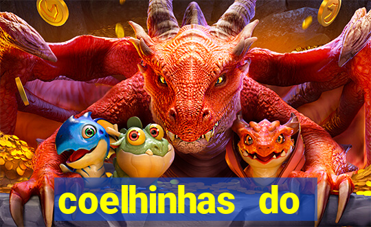 coelhinhas do brasil acompanhantes
