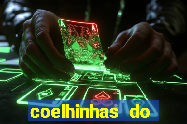 coelhinhas do brasil acompanhantes