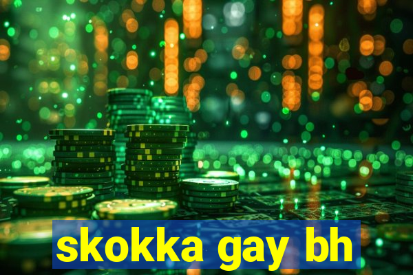 skokka gay bh