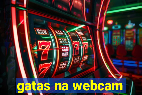 gatas na webcam