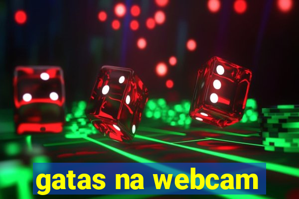 gatas na webcam