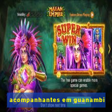 acompanhantes em guanambi