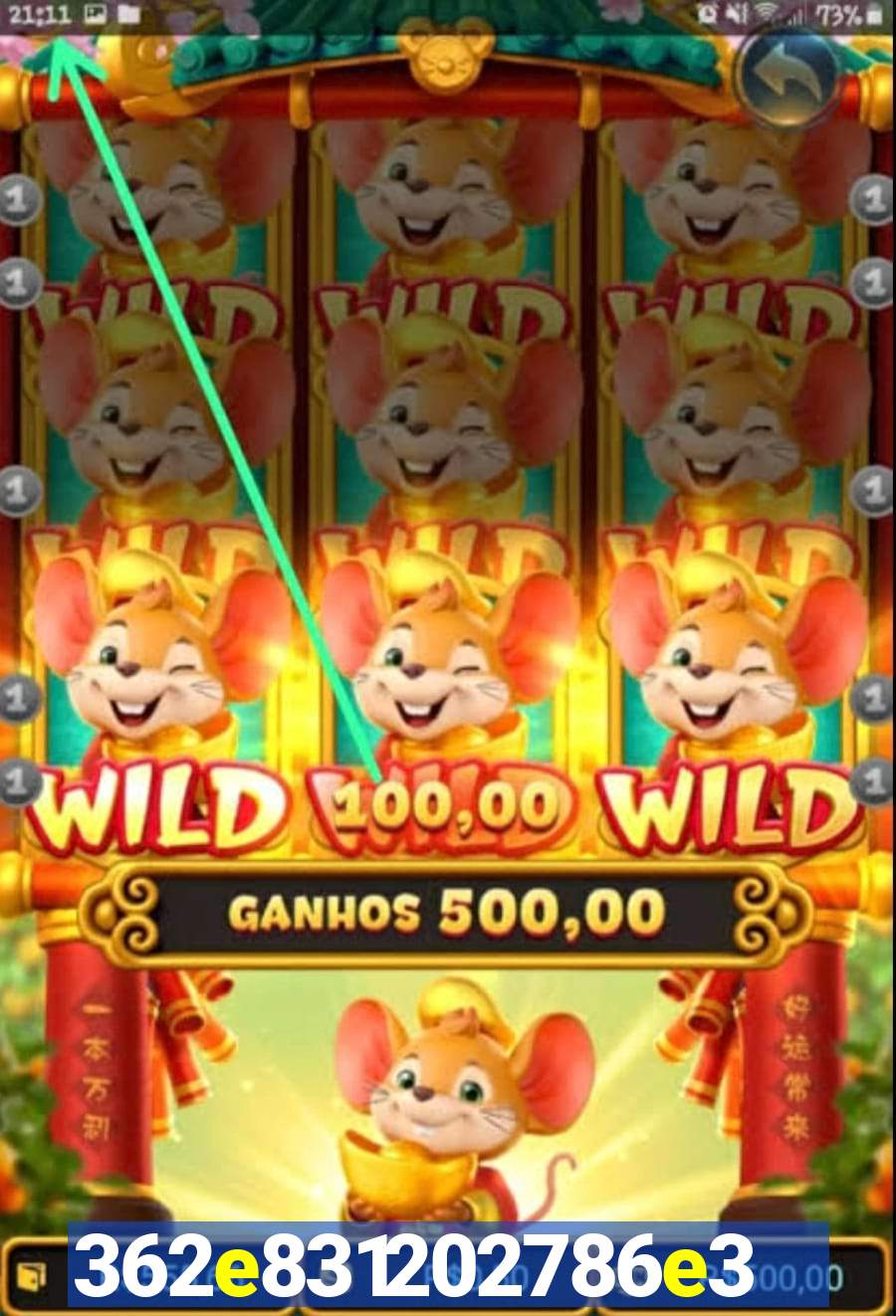 6 gbet