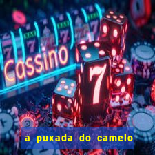 a puxada do camelo no jogo do bicho